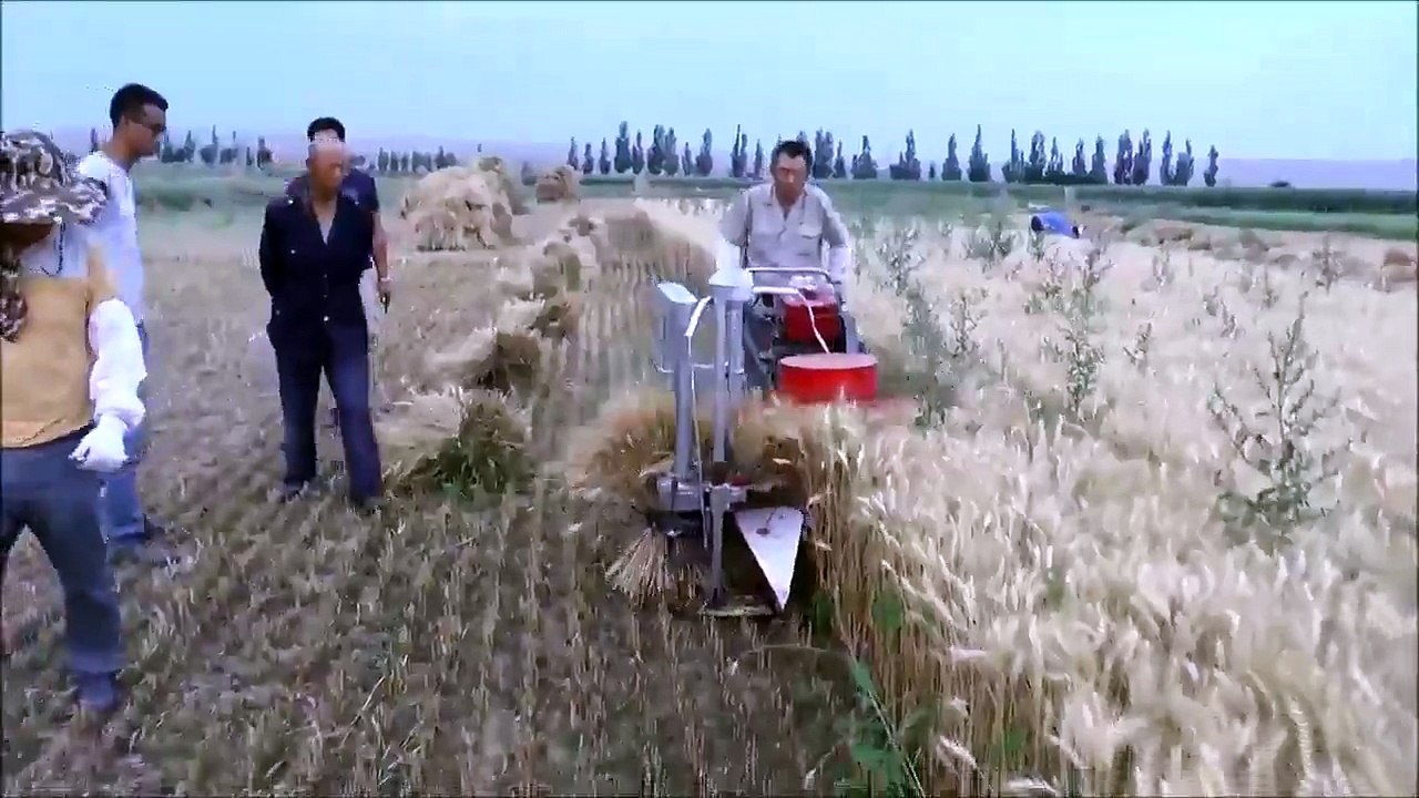 - اگر پاکستان زرعی ملک ہے تو پھر کسانوں کے پاس...‬
