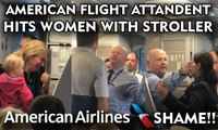 American Airlines Flight Attendant Altercation With Passenger