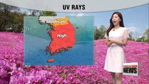 Warm and mostly sunny afternoon with high UV rays in many parts