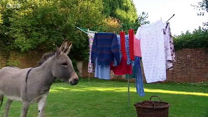 Big Barn Farm - S2E14. Runaway Rubbish