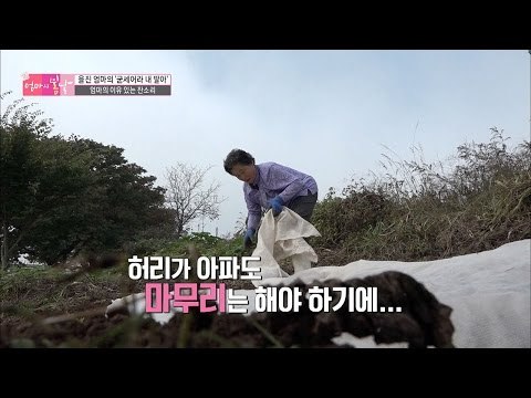 허리가 아파도 일하는 엄마의 통증 [엄마의 봄날] 67회 20161211