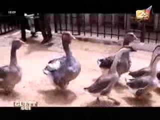 Guett Gui - 30 Juin 2012 - Partie 1
