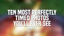 10 Most Perfectly Timed Photos You'll Ever See!-mzq6dqQnp7U
