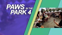 Alagang Magaling S6 EP8 - PAWS IN THE PARK 4