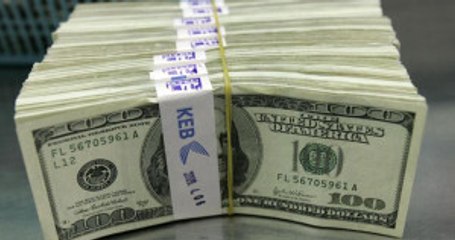 Fransa Cumhurbaşkanlığı Seçimleri Doları Vurdu