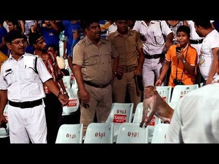 Скачать видео: Monkey spotted enjoying Kolkata vs Mumbai match at Eden Gardens