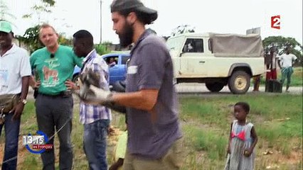 Pour s'en sortir, des gabonais chassent les singes pour... les manger ! Regardez