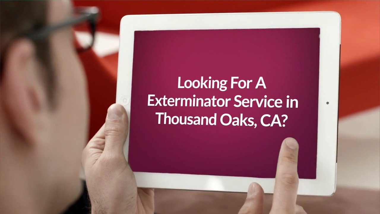 Insight Pest Management - Exterminator in Thousand Oaks, CA