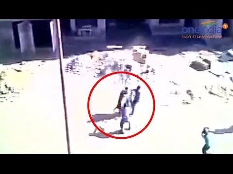 Leopard attacks labourers in Meerut, 5 injured; Watch video