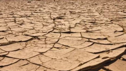 "POONAM PANDEY" AT THE LAUNCH OF BAHRAINS BRAVE COMBAT "FEDERATION WITH MIXED MARTIAL ARTS"