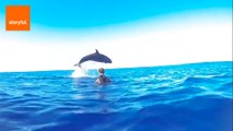 Killer Whale Puts on Show for Divers