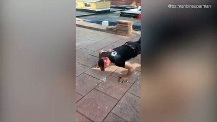 Regardez comment réussir à faire des pompes à une main ou sans les mains !