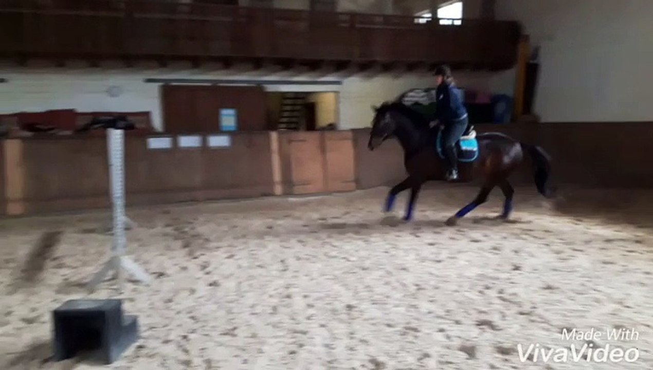 Gymnastik