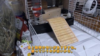 吉川利彦と動物との暮らし (8)