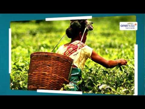 Jayalalitha's Kodanad Tea Estate, A Tragic Incident Happened At Estate | Oneindia Kannada