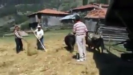 Geçmişten Günümüze Nostalji Gitme Turnam