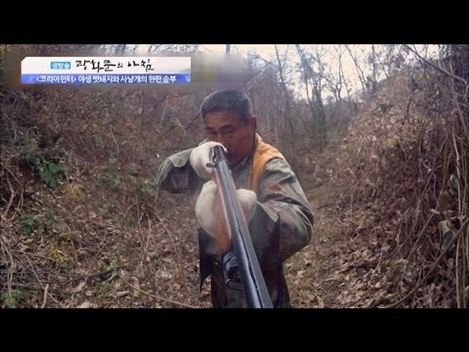 멧돼지를 잡은 사냥개들! 헌터의 마지막 한발! [광화문의 아침] 374회 20161207