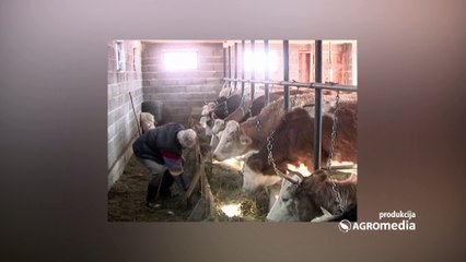 Zaštitite životinje od zime!