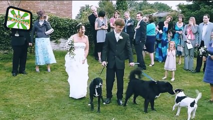 WEDDING FAIL ★ Funny Wedding Fails [Epic Laughs]