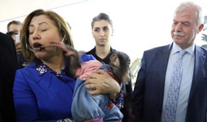 Şempanze Can, Belediye Başkanı Şahin'e Zor Anlar Yaşattı