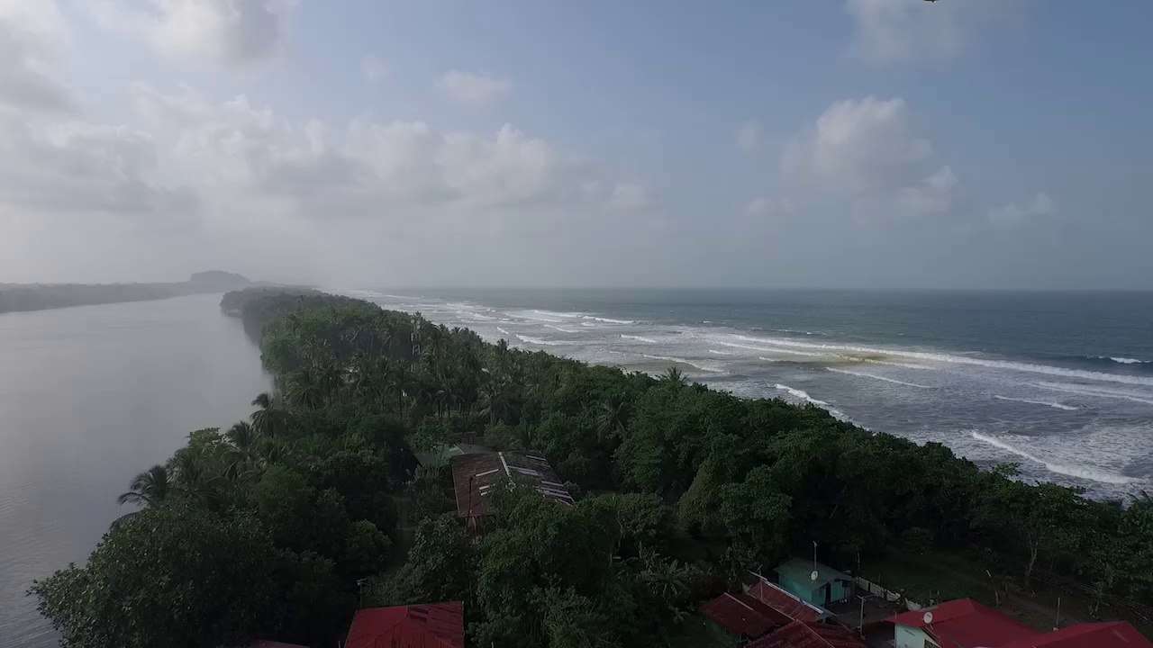 One Fish, Two Fish in a land that they call Home