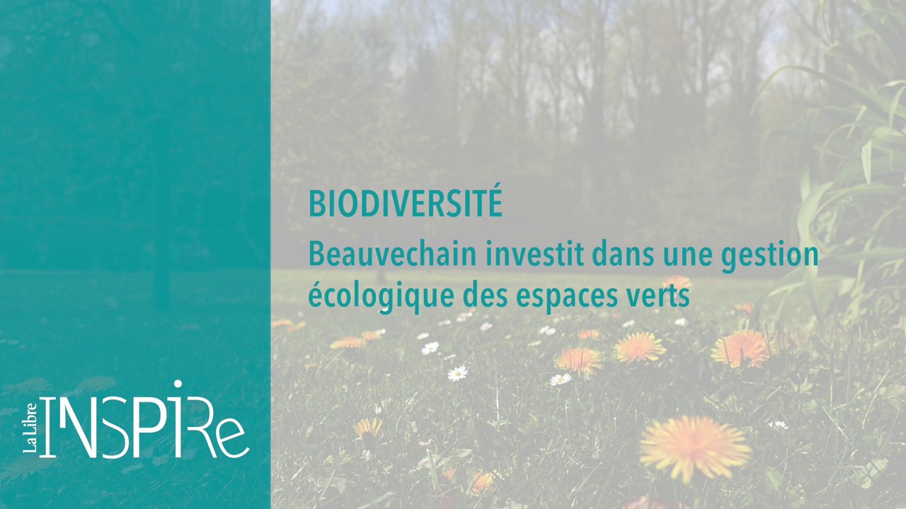 Biodiversité : Beauvechain investit dans l'écologie pour gérer ses espaces verts - Inspire