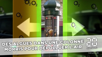Paris: Des algues dans une colonne Morris pour dépolluer l'air