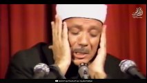عندما بكى الشيخ عبد الباسط عبد الصمد    مقطع سيهز قلبك     جودة عالية HD