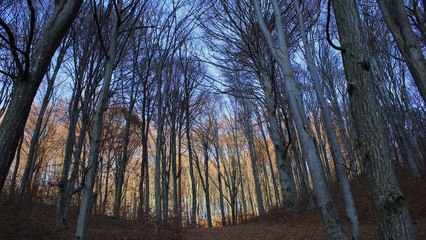 Cu prietenii la Lacul Codlea Octombrie 2016