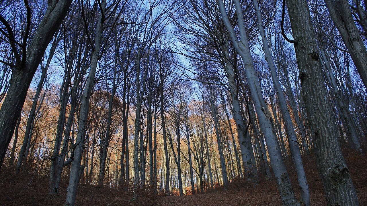 Cu prietenii la Lacul Codlea Octombrie 2016