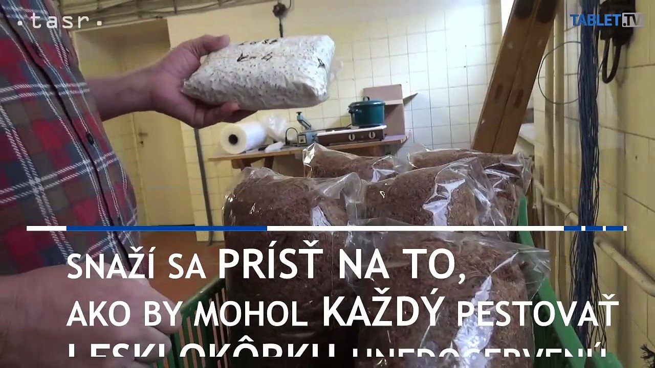 Chcete si vypestovať hubu večnej mladosti?