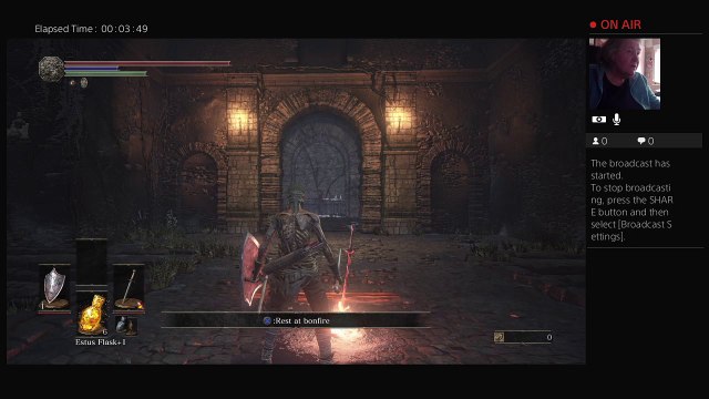 tolilolu15's Live PS4 Dark Souls 3 catacombs (5)