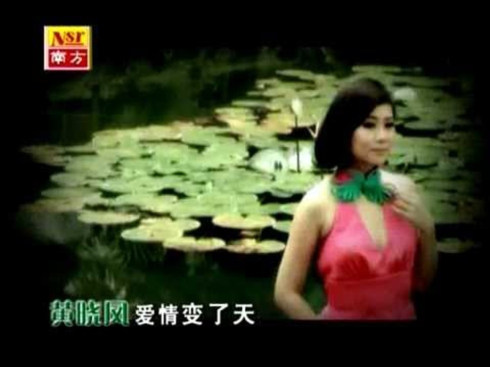 黄晓凤 - 爱情变了天