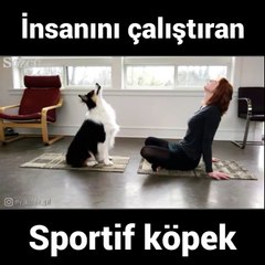 Sportif köpek sahibini çalıştırıyor...
