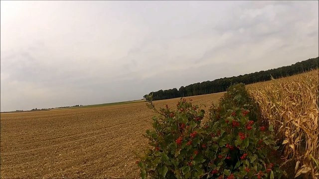 Compilation Chasse Petit Gibier - Caméra Embarquée