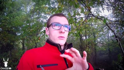 Chasse en Battue de Grand Gibier  - Mes plus beaux moments