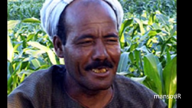 قصيدة العمة يامنة ـ للشاعر عبد الرحمن الابنودي ـ