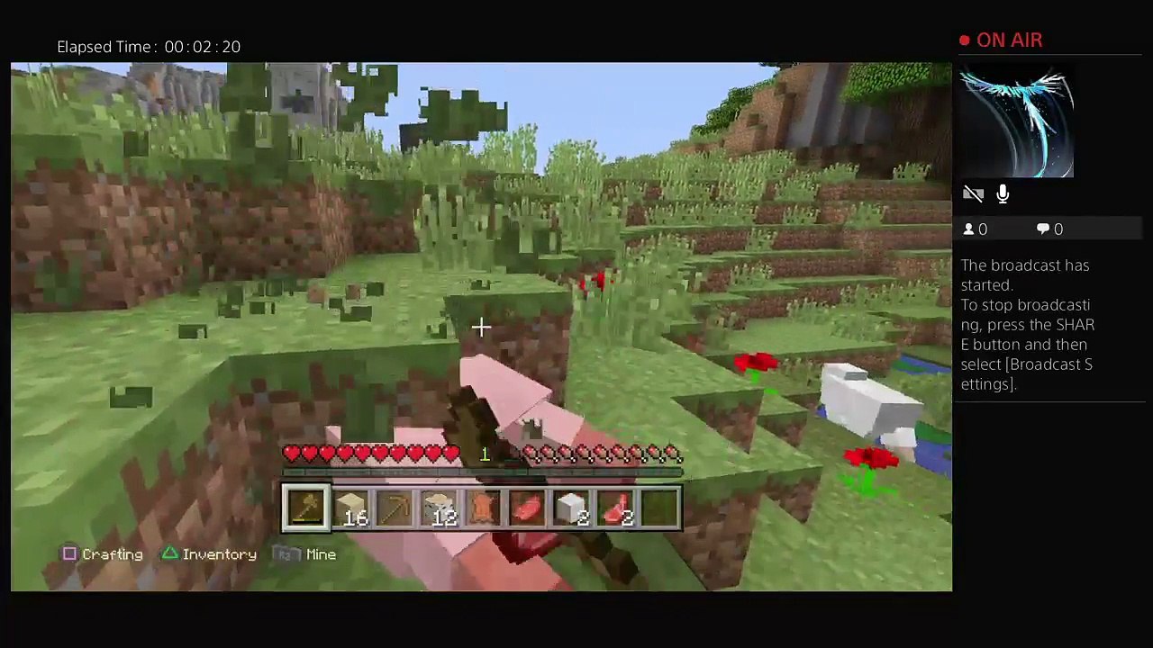 Mincraft survival (5)
