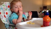 Toddler falls asleep while eating lunch