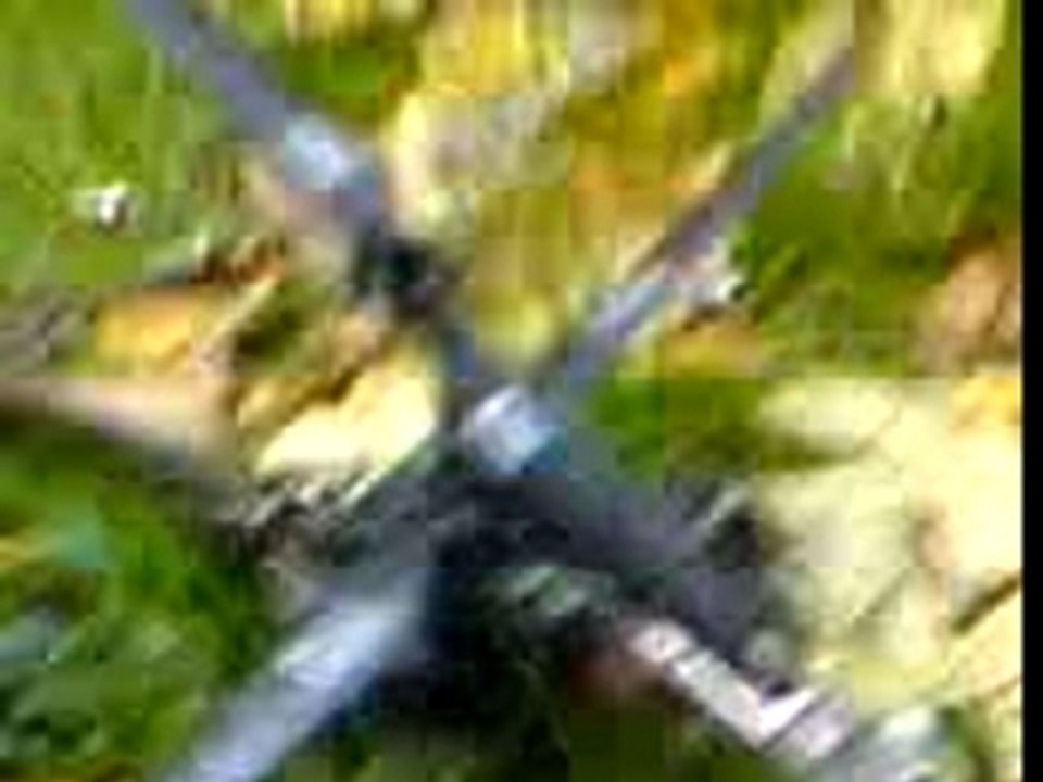 swiss lama  helico apache rc