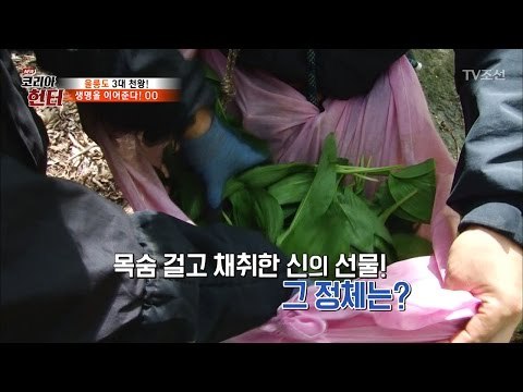 목숨을 걸고 채취한 신의 선물! 그 정체는? [뉴 코리아 헌터] 47회 20170424