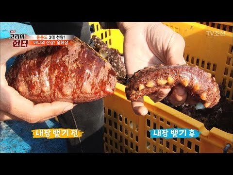 크기가 커졌다 작아졌다 하는 ‘그것’ [뉴 코리아 헌터] 47회 20170424