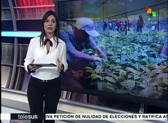 Autoridad venezolana afina detalles de nueva fase de Dicom