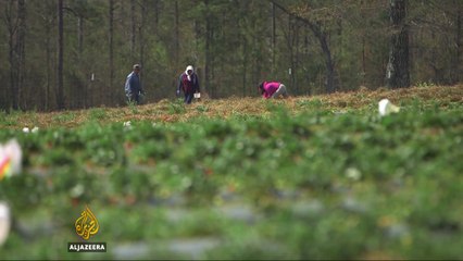 What will US farmers do without immigrants?