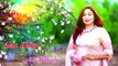 Pashto New HD Song 2017 Nashey Dy Stargo Ke By Alia Khan
