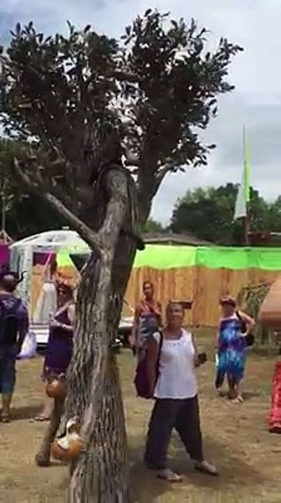 walking tree