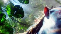 Avatar 2 2018 - Guardian Of The Baby Pandora Trailer - FanMade trailer - YouTube