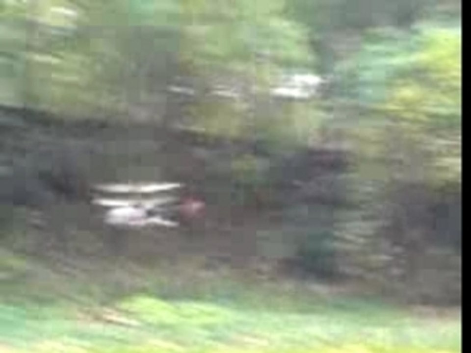 helico swiss lama d enfer!!