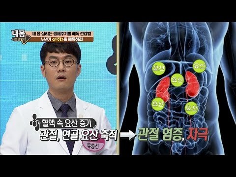 노년기에는 신장 해독이 가장 중요하다! [내 몸 사용설명서] 131회 20161202