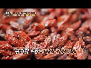 간을 해독해주는 비트, 구기자! [내 몸 사용설명서] 131회 20161202